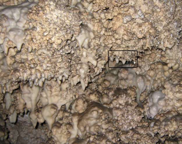 Carlsbad Cave Popcorn